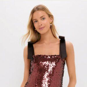 Tuckernuck Radiant Bronze Sequin Roxy Dress